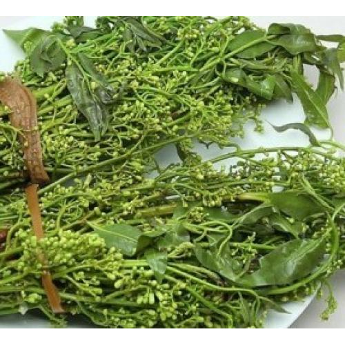 GỎI SẦU ĐÂU
